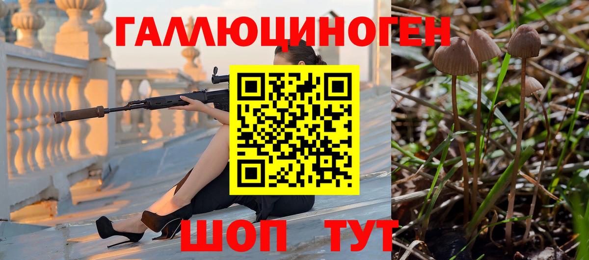 Галлюциногенные грибы Cubensis  Вход с VPN  Галлюциногенные грибы ЛСД  Топки 